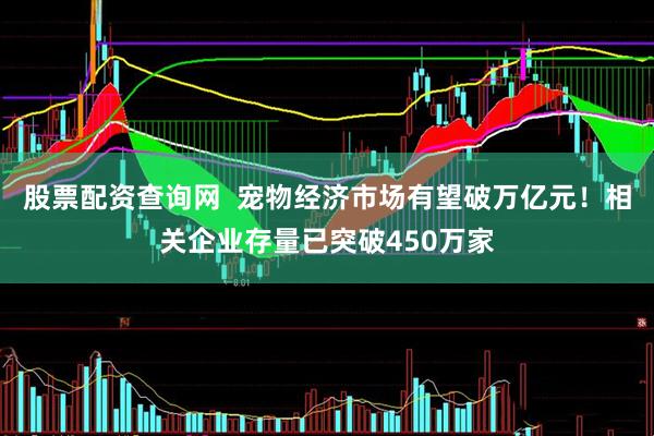 股票配资查询网  宠物经济市场有望破万亿元！相关企业存量已突破450万家