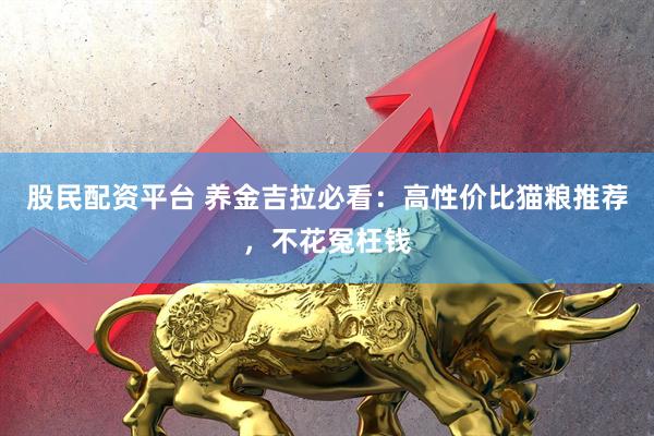 股民配资平台 养金吉拉必看：高性价比猫粮推荐，不花冤枉钱