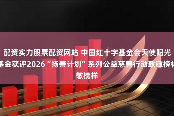 配资实力股票配资网站 中国红十字基金会天使阳光基金获评2026“扬善计划”系列公益慈善行动致敬榜样