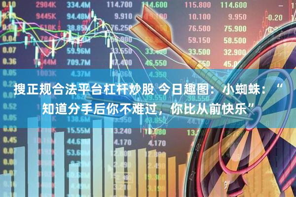搜正规合法平台杠杆炒股 今日趣图：小蜘蛛：“知道分手后你不难过，你比从前快乐”
